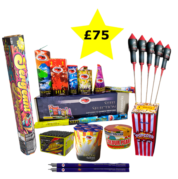 Family Favouite Garden Firework Display Pack