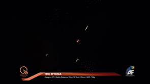 THE HYENA ABSOLUTE FIREWORKS