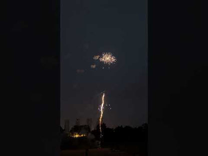 MUERTE SALUTE JW902 *NEW 2025*