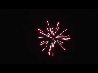 NAUTILUS ROCKETS 8 PACK *NEW 2025*