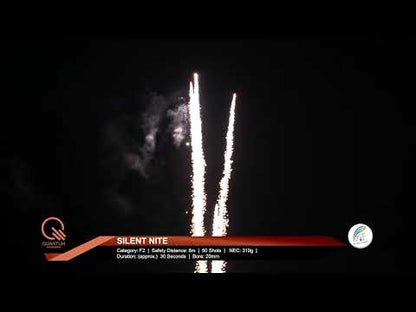 SILENT NITE 50 SHOT (QUIET)