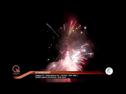 FIRESTORM 250 DISPLAY PACK